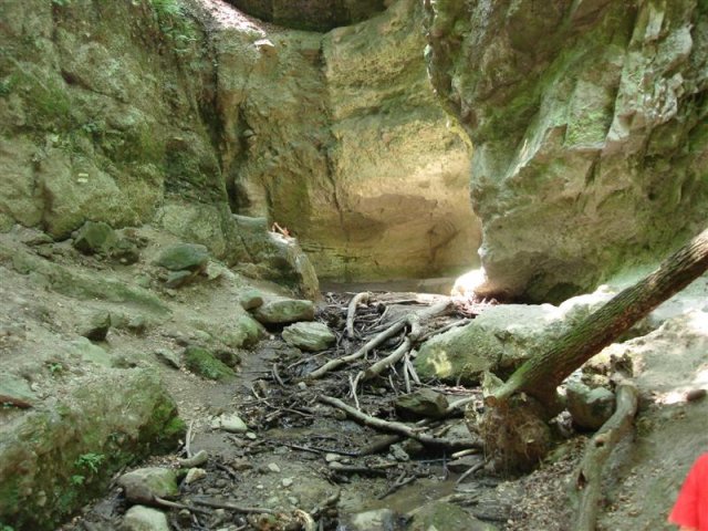 DSC05843 (Medium)